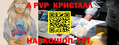 шишки Кингисепп